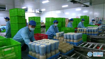 云霄 生物科技助力穩產保供，讓市民“菜籃子”拎得更穩