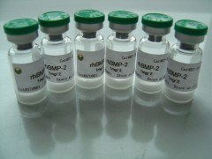 上海博華生物科技 創新驅動，引領生物科技未來